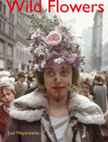 Joel Meyerowitz: Wild Flowers，乔尔·迈耶罗维茨：野花