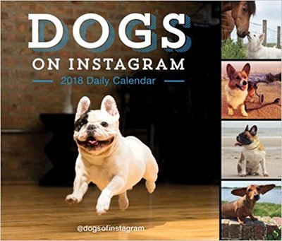 2018 Daily Calendar: Dogs on Instagram，2018日历：INS狗狗照片