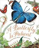 A Butterfly Is Patient，耐心的蝴蝶