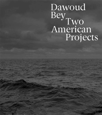 Dawoud Bey: Two American Projects，达乌德贝:两个美国项目