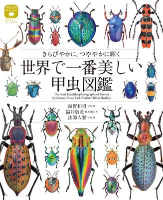 世界で一番美しい甲虫図鑑: きらびやかに、つややかに輝く (ネイチャ—·ミュ—ジアム)，世界美丽甲虫图鉴