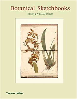 Botanical Sketchbooks，植物写生