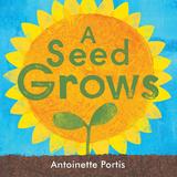 A Seed Grows  ，一颗种子生长