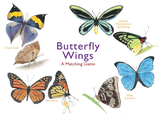 Butterfly Wings:A Matching Game，蝴蝶翅膀:配对游戏