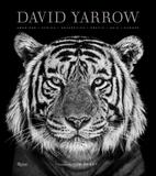 David Yarrow Photography，大卫亚罗摄影集