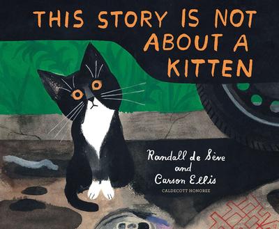 Story Not About A Kitten
