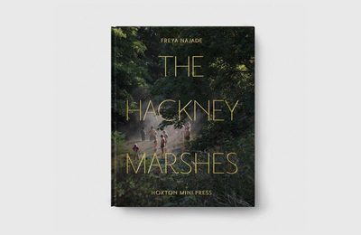 The Hackney Marshes，哈克尼区沼泽