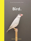 Bird.，鸟儿