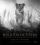 Wild Encounters  David Yarrow，正在消失的野生动物  大卫·亚罗
