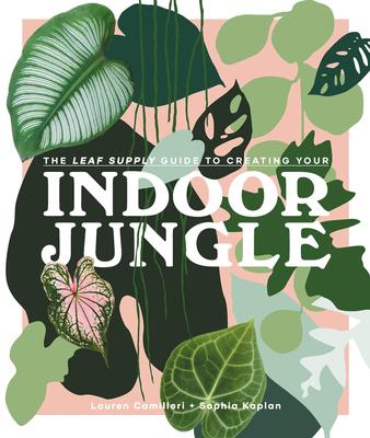 Indoor Jungle,室内丛林
