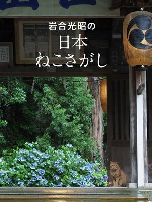 岩合光昭の日本ねこさがし，岩戈光昭的日本寻猫形动