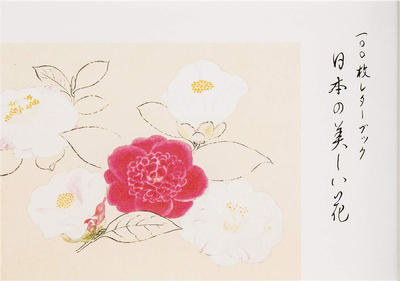 100枚レタ—ブック 日本の美しい花，一百枚信笺 美丽日本花