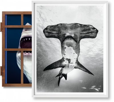 【Art Edition】Michael Muller. Sharks（No. 101-200） ，迈克尔·穆勒:鲨鱼（101-200）