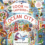 Look for Ladybird in Ocean City，在海洋城市中寻找瓢虫